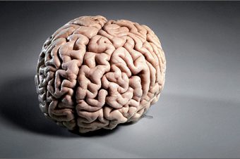 Мозг и пси-способности